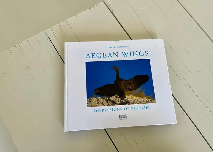 Prázdninový dům Aegean Wings Maisonette *