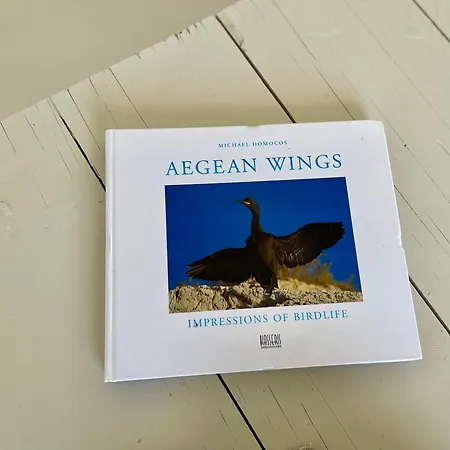Holiday home Aegean Wings Maisonette *